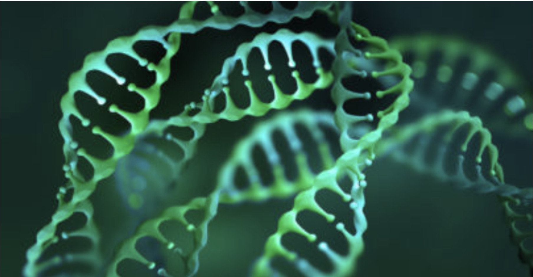 【醫學AI】如何運用 NVIDIA Clara，創造最快基因定序世界紀錄
