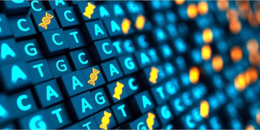 【醫學AI】如何運用 NVIDIA Clara，創造最快基因定序世界紀錄使用圖3